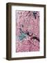 Beautiful Cherry Blossom in Full Bloom in Tokyo Imperial Palace East Gardens, Tokyo, Japan, Asia-Martin Child-Framed Photographic Print
