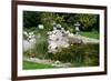 Beautiful Classical Garden Pond Surrounded by Grass.-Reinhold Leitner-Framed Photographic Print