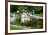 Beautiful Classical Garden Pond Surrounded by Grass.-Reinhold Leitner-Framed Photographic Print