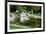 Beautiful Classical Garden Pond Surrounded by Grass.-Reinhold Leitner-Framed Photographic Print