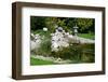 Beautiful Classical Garden Pond Surrounded by Grass.-Reinhold Leitner-Framed Photographic Print