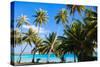 Beautiful Coast on Bora Bora Island-BlueOrange Studio-Stretched Canvas