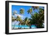 Beautiful Coast on Bora Bora Island-BlueOrange Studio-Framed Photographic Print