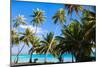 Beautiful Coast on Bora Bora Island-BlueOrange Studio-Mounted Photographic Print