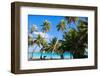 Beautiful Coast on Bora Bora Island-BlueOrange Studio-Framed Photographic Print