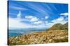 Beautiful Coastal City Landscape, Capetown, South Africa, High Mountains, Holiday and Vacation Conc-Anna Omelchenko-Stretched Canvas