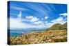 Beautiful Coastal City Landscape, Capetown, South Africa, High Mountains, Holiday and Vacation Conc-Anna Omelchenko-Stretched Canvas