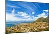 Beautiful Coastal City Landscape, Capetown, South Africa, High Mountains, Holiday and Vacation Conc-Anna Omelchenko-Mounted Photographic Print