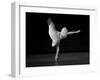 Beautiful Cock-Thomas Barbey-Framed Giclee Print