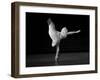 Beautiful Cock-Thomas Barbey-Framed Premium Giclee Print