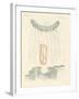 Beautiful Comb Jellies-null-Framed Giclee Print