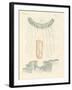 Beautiful Comb Jellies-null-Framed Giclee Print