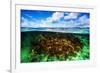 Beautiful Coral Garden Underwater, Diving on Maldives, Blue Cloudy Sky, Turquoise Water, Luxury Sum-Anna Omelchenko-Framed Photographic Print