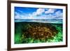 Beautiful Coral Garden Underwater, Diving on Maldives, Blue Cloudy Sky, Turquoise Water, Luxury Sum-Anna Omelchenko-Framed Photographic Print