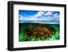 Beautiful Coral Garden Underwater, Diving on Maldives, Blue Cloudy Sky, Turquoise Water, Luxury Sum-Anna Omelchenko-Framed Photographic Print