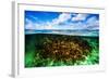 Beautiful Coral Garden Underwater, Diving on Maldives, Blue Cloudy Sky, Turquoise Water, Luxury Sum-Anna Omelchenko-Framed Photographic Print