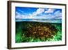 Beautiful Coral Garden Underwater, Diving on Maldives, Blue Cloudy Sky, Turquoise Water, Luxury Sum-Anna Omelchenko-Framed Photographic Print