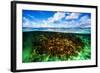 Beautiful Coral Garden Underwater, Diving on Maldives, Blue Cloudy Sky, Turquoise Water, Luxury Sum-Anna Omelchenko-Framed Photographic Print