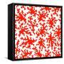 Beautiful Coral Seamless for Your Business-transiastock-Framed Stretched Canvas