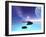 Beautiful Cosmic Seascape On An Alien World-Stocktrek Images-Framed Photographic Print