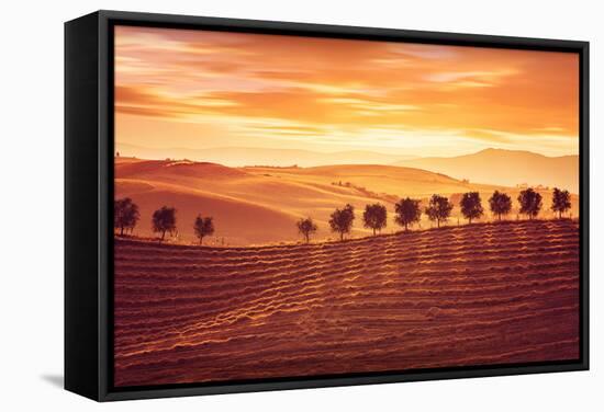 Beautiful Countryside Landscape, Amazing Orange Sunset over Golden Soil Hills, Beauty of Nature, Ag-Anna Omelchenko-Framed Stretched Canvas