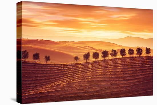 Beautiful Countryside Landscape, Amazing Orange Sunset over Golden Soil Hills, Beauty of Nature, Ag-Anna Omelchenko-Stretched Canvas