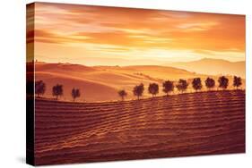 Beautiful Countryside Landscape, Amazing Orange Sunset over Golden Soil Hills, Beauty of Nature, Ag-Anna Omelchenko-Stretched Canvas