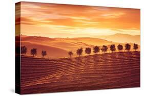 Beautiful Countryside Landscape, Amazing Orange Sunset over Golden Soil Hills, Beauty of Nature, Ag-Anna Omelchenko-Stretched Canvas