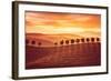 Beautiful Countryside Landscape, Amazing Orange Sunset over Golden Soil Hills, Beauty of Nature, Ag-Anna Omelchenko-Framed Photographic Print