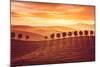 Beautiful Countryside Landscape, Amazing Orange Sunset over Golden Soil Hills, Beauty of Nature, Ag-Anna Omelchenko-Mounted Photographic Print