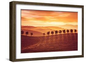 Beautiful Countryside Landscape, Amazing Orange Sunset over Golden Soil Hills, Beauty of Nature, Ag-Anna Omelchenko-Framed Photographic Print