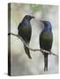 Beautiful Couple-Jacqueline Hammer-Stretched Canvas