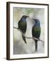 Beautiful Couple-Jacqueline Hammer-Framed Photographic Print