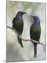 Beautiful Couple-Jacqueline Hammer-Mounted Photographic Print