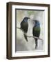 Beautiful Couple-Jacqueline Hammer-Framed Photographic Print