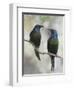 Beautiful Couple-Jacqueline Hammer-Framed Photographic Print