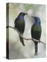 Beautiful Couple-Jacqueline Hammer-Stretched Canvas