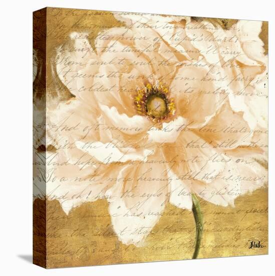 Beautiful Cream Peonies Script I-Patricia Pinto-Stretched Canvas