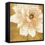 Beautiful Cream Peonies Script II-Patricia Pinto-Framed Stretched Canvas