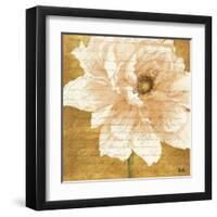 Beautiful Cream Peonies Script II-Patricia Pinto-Framed Art Print