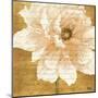 Beautiful Cream Peonies Script II-Patricia Pinto-Mounted Art Print