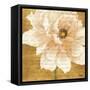 Beautiful Cream Peonies Script II-Patricia Pinto-Framed Stretched Canvas
