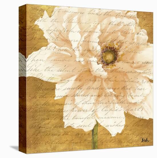 Beautiful Cream Peonies Script II-Patricia Pinto-Stretched Canvas