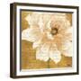 Beautiful Cream Peonies Script II-Patricia Pinto-Framed Art Print