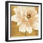 Beautiful Cream Peonies Script II-Patricia Pinto-Framed Art Print