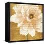 Beautiful Cream Peonies Script II-Patricia Pinto-Framed Stretched Canvas