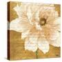 Beautiful Cream Peonies Script II-Patricia Pinto-Stretched Canvas