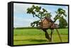 Beautiful Creative Tree House-Rony Zmiri-Framed Stretched Canvas