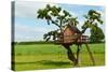 Beautiful Creative Tree House-Rony Zmiri-Stretched Canvas