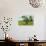 Beautiful Creative Tree House-Rony Zmiri-Photographic Print displayed on a wall